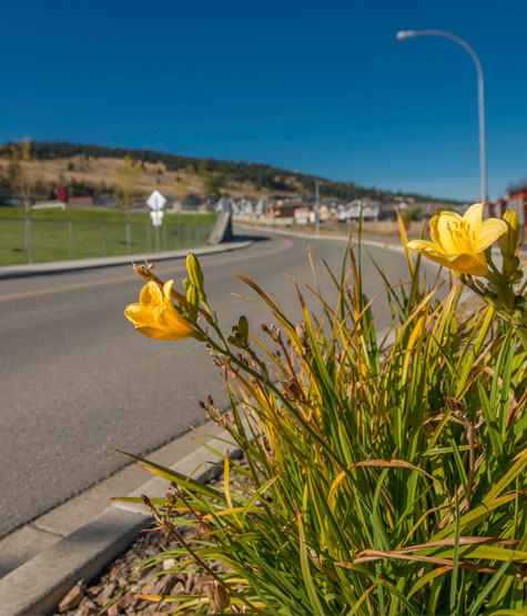 View the Neighbourhoods